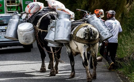 9.000 litros de leche en riesgo diario por bloqueos viales