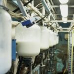 Alza en las importaciones lácteas chilenas 1 Alza en las importaciones lácteas chilenas