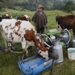 Boyacá en alerta actualización catastral en el pequeño productor