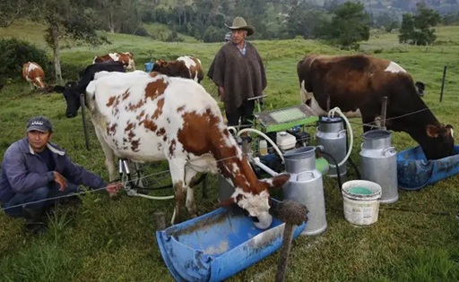 Boyacá en alerta actualización catastral en el pequeño productor