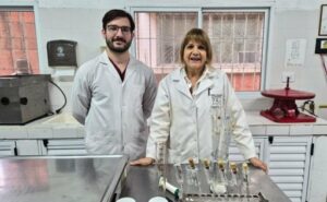 Búfalas en el Litoral investigan qué razas y manejo optimizan la producción de leche