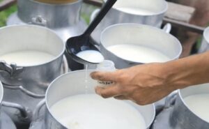 Colombia Medidas del gobierno alertan sobre el consumo de leche
