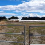 Crisis de fertilizantes presiona la rentabilidad láctea