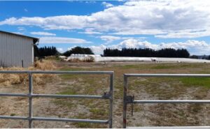 Crisis de fertilizantes presiona la rentabilidad láctea