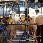 Crisis láctea en Castilla y León