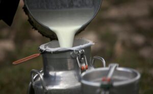 España Denuncian entrada de leche importada 9 céntimos más barata