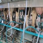 Galicia endurece controles la calidad