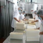 Industria láctea De la resiliencia a la eficiencia técnica