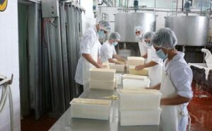 Industria láctea De la resiliencia a la eficiencia técnica