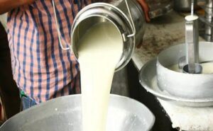 Industria láctea uruguaya Deuda en mínimos y cautela inversora