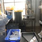 Monasterio de San Isidro de Dueñas (Palencia), más conocido como La Trapa