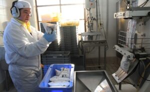 Monasterio de San Isidro de Dueñas (Palencia), más conocido como La Trapa