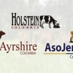 La Unión Lechera Estrategia clave para resistir importaciones y bajos precios