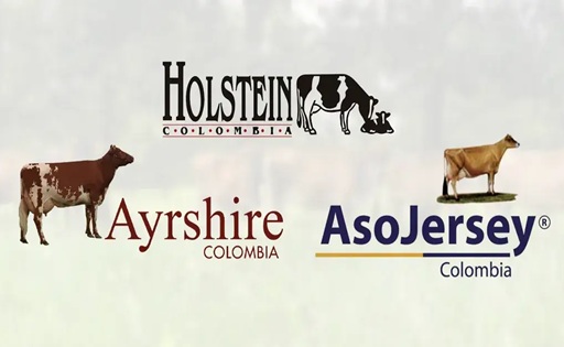 La Unión Lechera Estrategia clave para resistir importaciones y bajos precios