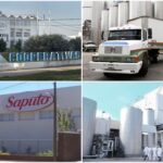 Lechería argentina el retiro del capital local redefine el negocio