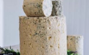 Mejor queso de España El azul cremoso que conquista la alta cocina