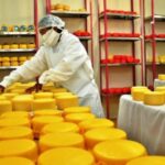 Perú acelera en quesos supera las 159 mil toneladas
