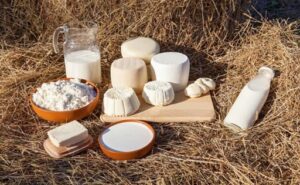 Piura Producción láctea supera los 51 millones de litros