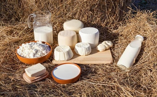 Piura Producción láctea supera los 51 millones de litros