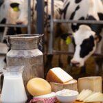 Precios lácteos FAO: Primer aumento desde julio de 2025 3 Precios lácteos FAO Primer aumento desde julio de 2025