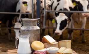 Precios lácteos FAO Primer aumento desde julio de 2025