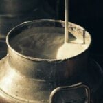 Sector lácteo gallego Unións Agrarias denuncia pérdidas millonarias