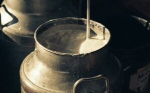 Sector lácteo gallego Unións Agrarias denuncia pérdidas millonarias