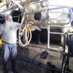 Seguridad alimentaria La lechería en tiempos de guerra