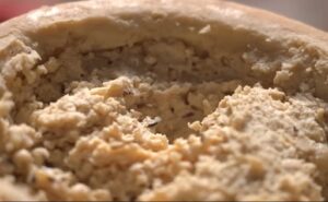 Casu Marzu el queso prohibido que desafía a la normativa europea