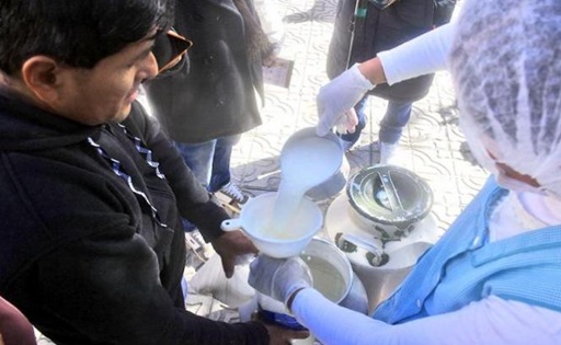 El sector lácteo de Cochabamba remata producción en las plazas