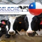 Fedeleche lanza alerta roja El alza del diésel y fertilizantes pone en riesgo la siembra de invierno