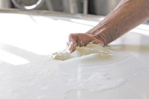 Las exportaciones lácteas ya representan el 30% de la producción