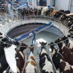 Productores uruguayos rechazan la investigación de Brasil por presunto dumping