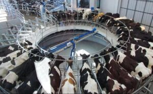 Productores uruguayos rechazan la investigación de Brasil por presunto dumping