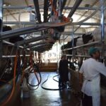 Récord histórico en Uruguay La remisión de leche se expande un 9,7% en abril