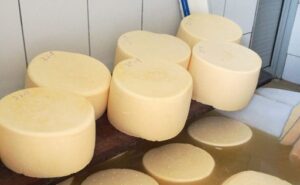 Uruguay-Italia Impulsan el modelo europeo de Inocuidad Flexible para modernizar la quesería artesanal