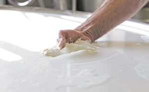 Argentina acelera producción y exportaciones lácteas alcanzan máximos de la última década