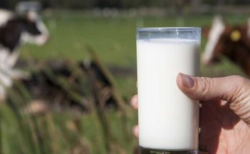 Calidad de leche con más sólidos útiles logran mejores precios