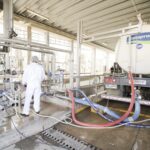 Conaprole rescata a productores tras el cierre de Coleme