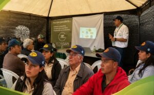 Ganadería sostenible Boyacá muestra que producir más también puede ser más rentable