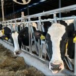La paradoja Récord exportador y rentabilidad negativa