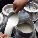 Lecheros bolivianos se declaran en quiebra y piden un plan de rescate tras 53 días de bloqueos