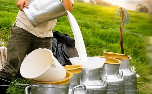 Mercado lácteo colombiano muestra señales de recuperación, pero enfrenta desafíos clave