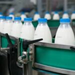 Panamá moderniza las reglas de la leche para impulsar la competitividad del sector lácteo 1 Panamá moderniza las reglas de la leche para impulsar la competitividad del sector lácteo