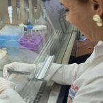 Probióticos con identidad santiagueña