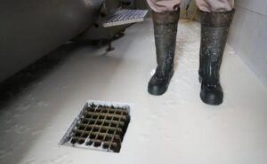 Productores gallegos perdieron €3.500 en abril por la caída del precio de la leche