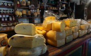 Quesos el mapa invisible de uno de los alimentos más complejos del mundo