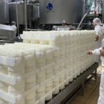 Argentina crece la elaboración de productos lácteos impulsada por la leche en polvo