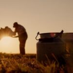 Asturias destina 200.000 euros para garantizar la recogida de leche en zonas de montaña