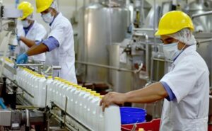 Cuatro gigantes lácteos compiten por la planta donde se producían Yogs y Shimy